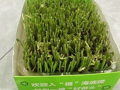 -7mall美食潮地标