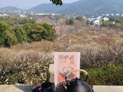 -香雪海