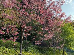 -乌山风景区