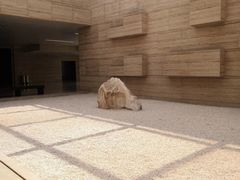 -盘龙城遗址博物院