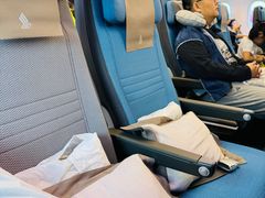 -新加坡航空公司(ION)