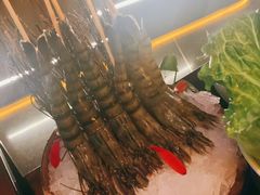 -森味薪火烧•烧鸟居酒屋•日本料理(望京店)
