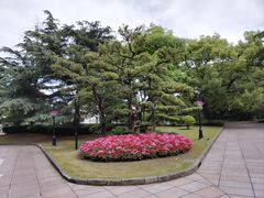 -上海虹桥迎宾馆