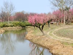 -花开海上生态园