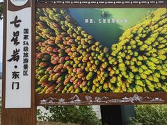 -星湖旅游景区七星岩