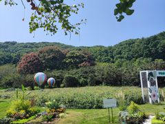 -苏州上方山国家森林公园