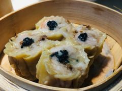 黑鱼子香菇烧卖皇-陶陶居酒家(海岸城店)