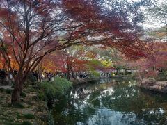 -秋霞圃