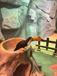 -Zoolung Zoolung动物主题公园(海信广场店)