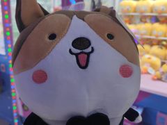 -大玩家(金牛万达店)