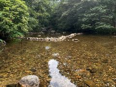 -广州市石门国家森林公园