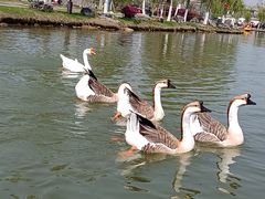 -木兰水镇旅游景区