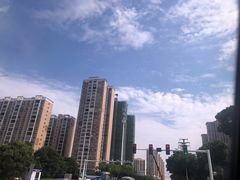 -岳阳东站