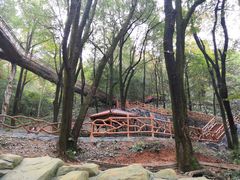 -石燕湖生态旅游景区