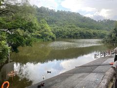 -滴水岩森林公园