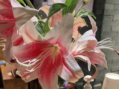 -呷哺呷哺 黄金牧场 (大港油田幸福广场店)