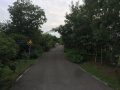 -梁鸿国家湿地公园
