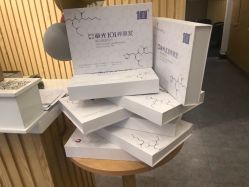 -章光101防脱养发荟