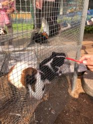 -萌宠亲子动物乐园(槐房万达店)