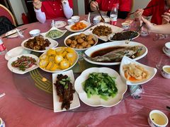 -上海都市菜园