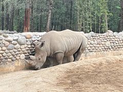 -北京野生动物园