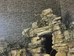 -明日世界密室轰趴·剧本桌游·箭馆团建(国贸店)
