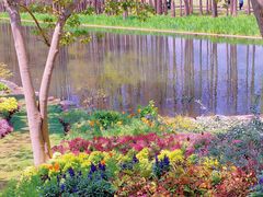 -上海共青森林公园