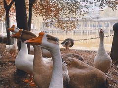 -长安大学(北校区)