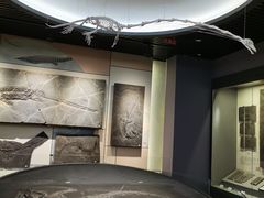 -贵州省地质博物馆