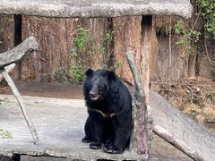 -长鹿旅游休博园