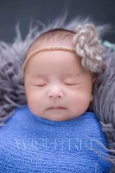 -愿望树儿童摄影(699文创店)