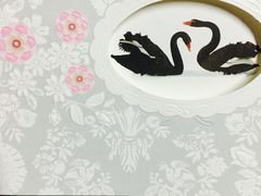 -BLACKSWAN黑天鹅(环球店)