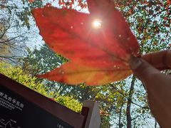 -终南山南五台景区