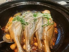 八分钟砂锅焗黄鱼-有喜胶东小馆(太申祥和店)
