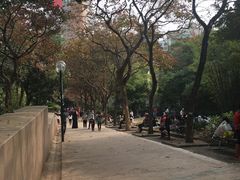 -九龙公园