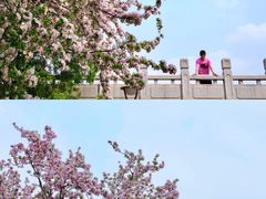 -元大都城垣遗址公园