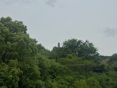 -巢湖姥山岛