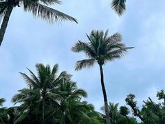 -三亚蜈支洲岛旅游区