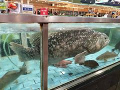 -渔民新村(番禺总店)