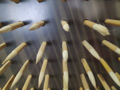 -中国湖笔博物馆(莲花庄路)