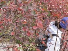 -白帝城·瞿塘峡景区