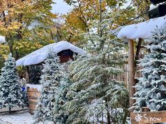 -HERRE·FARM 赫尔露营农场·团建聚会包场