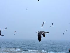-星海广场