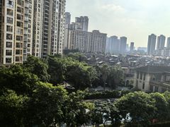 -深圳野生动物园