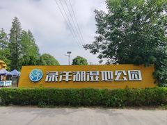 -渌洋湖湿地公园