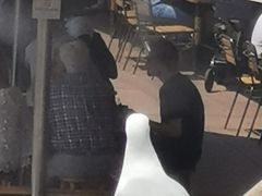 -悉尼海港大桥