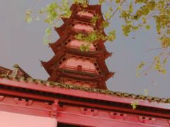 -天一阁博物院