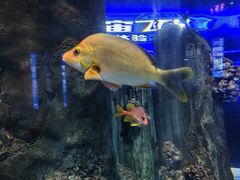 -福州罗源湾海洋世界旅游区