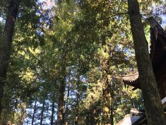 -方岩风景区