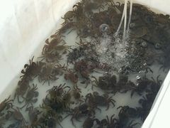 -贤鲁岛贤溪农庄